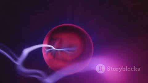 Do Electrons Really Move Fast