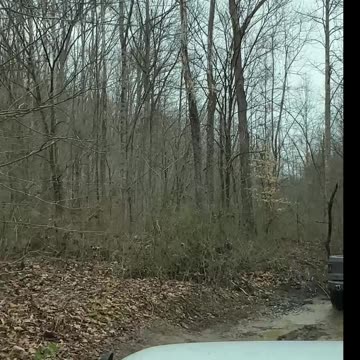Off-Roading Adventure Deep in the Muddy Woods 2i #jeep #jeepwrangler #offroad