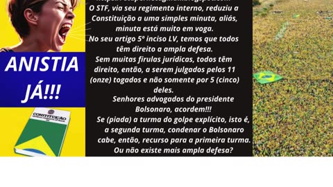 MINI AMPLA DEFESAS? - FALEI!