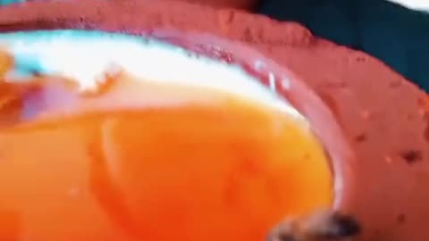 Enjoying homemade curd with a buzzing friend