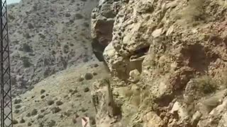 😂🐐 You Won't Believe How Physics Works on Goats! | FunFM