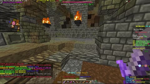 Skyblock FLOOR 7 [#2704]