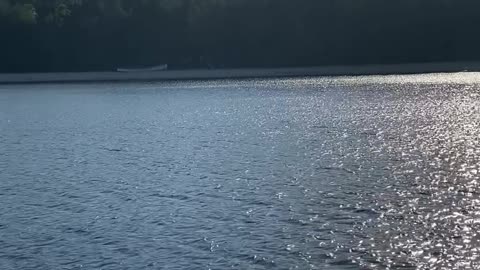 Breadcrumb: Back at Washington Island