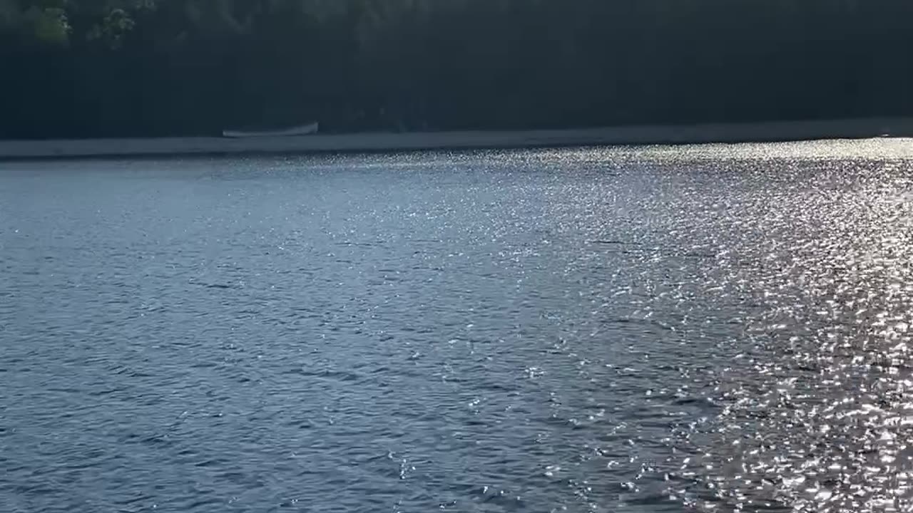 Breadcrumb: Back at Washington Island