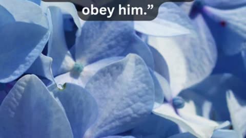Journey of faith and spiritual growth Acts 5:32 Daily Bible Verse