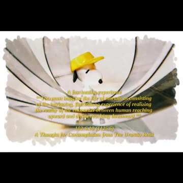 An Fascinating Experince