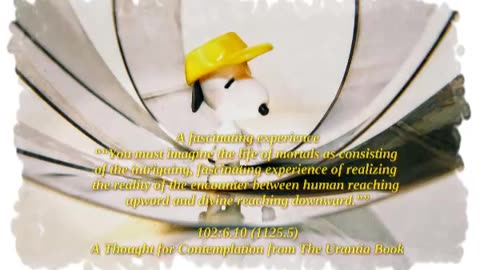 An Fascinating Experince