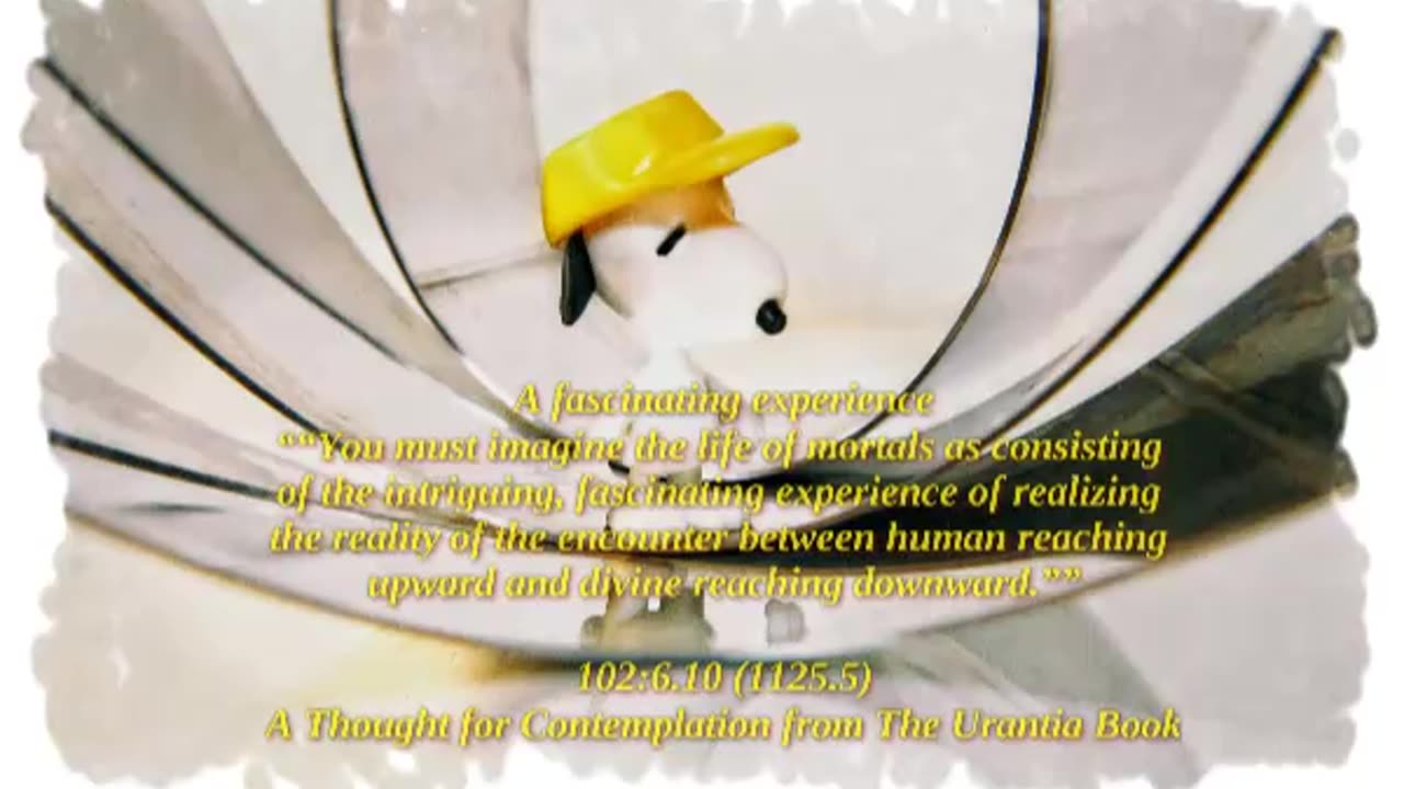 An Fascinating Experince