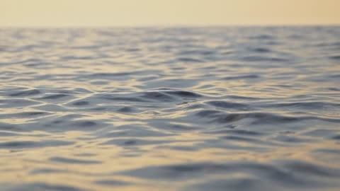 "If you can dream it, you can achieve it.