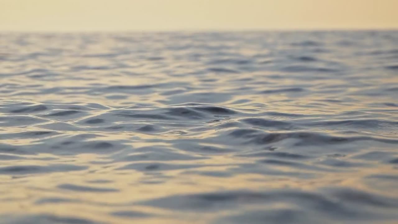 "If you can dream it, you can achieve it.