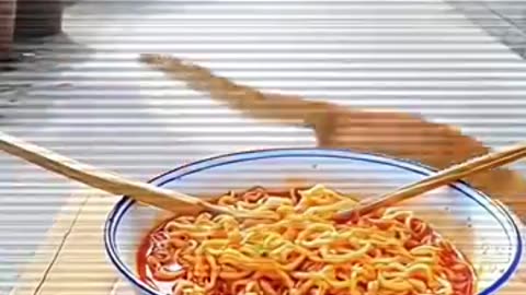 SpicyNoodleCat