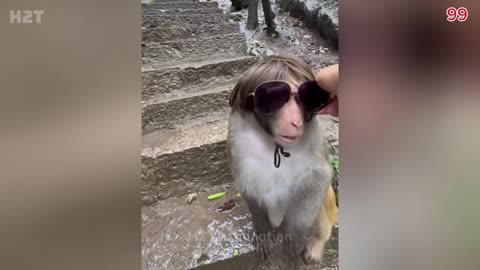 Top 100 Funniest Women Moments Ever 😂😁 Try Not To Laugh #8