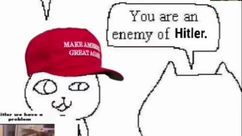 🐱🐱