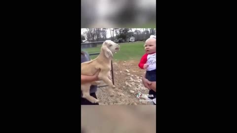 TOP Cute Baby Of This Week - Funny Baby Videos