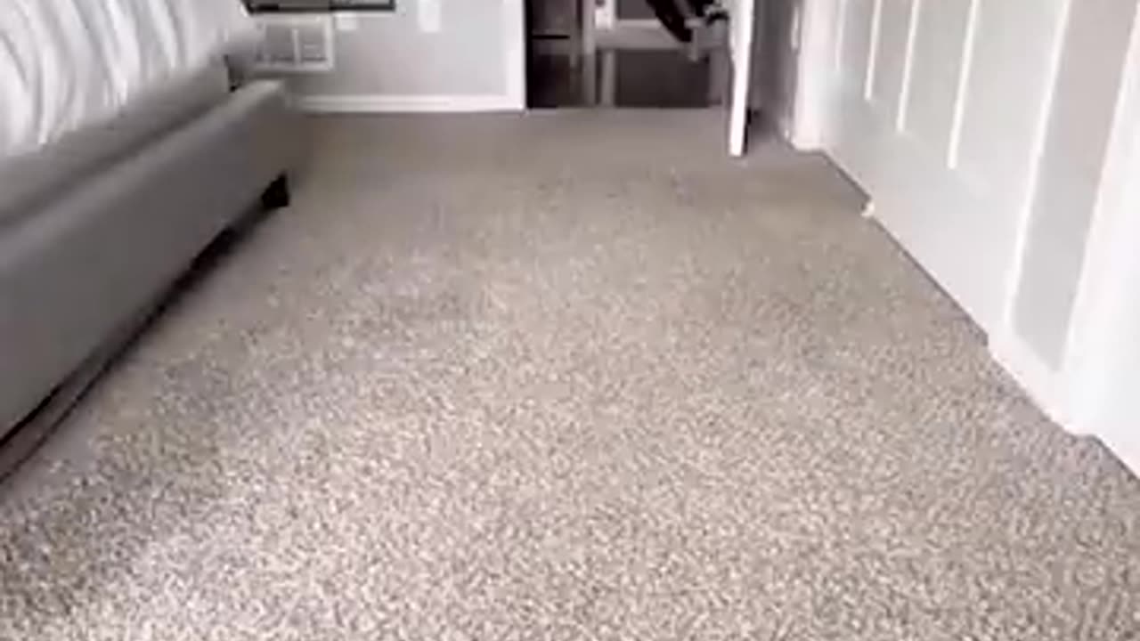 The Most Viewed YouTube Short