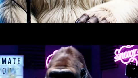 Gorilla vs 100 men Topic Gorilla vs Yetti Podcast “First 20 Easy!”