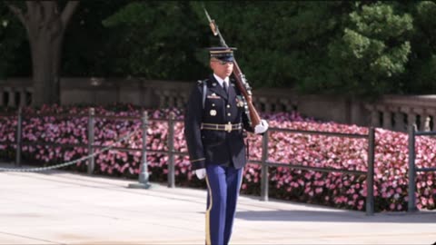 Military News Today