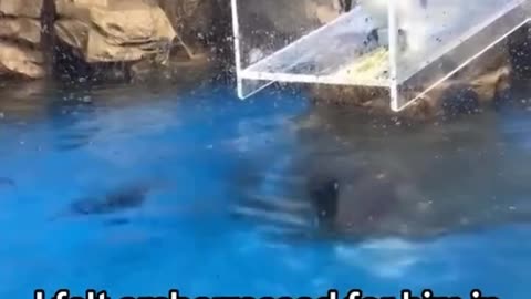 Compilation of unusual memes