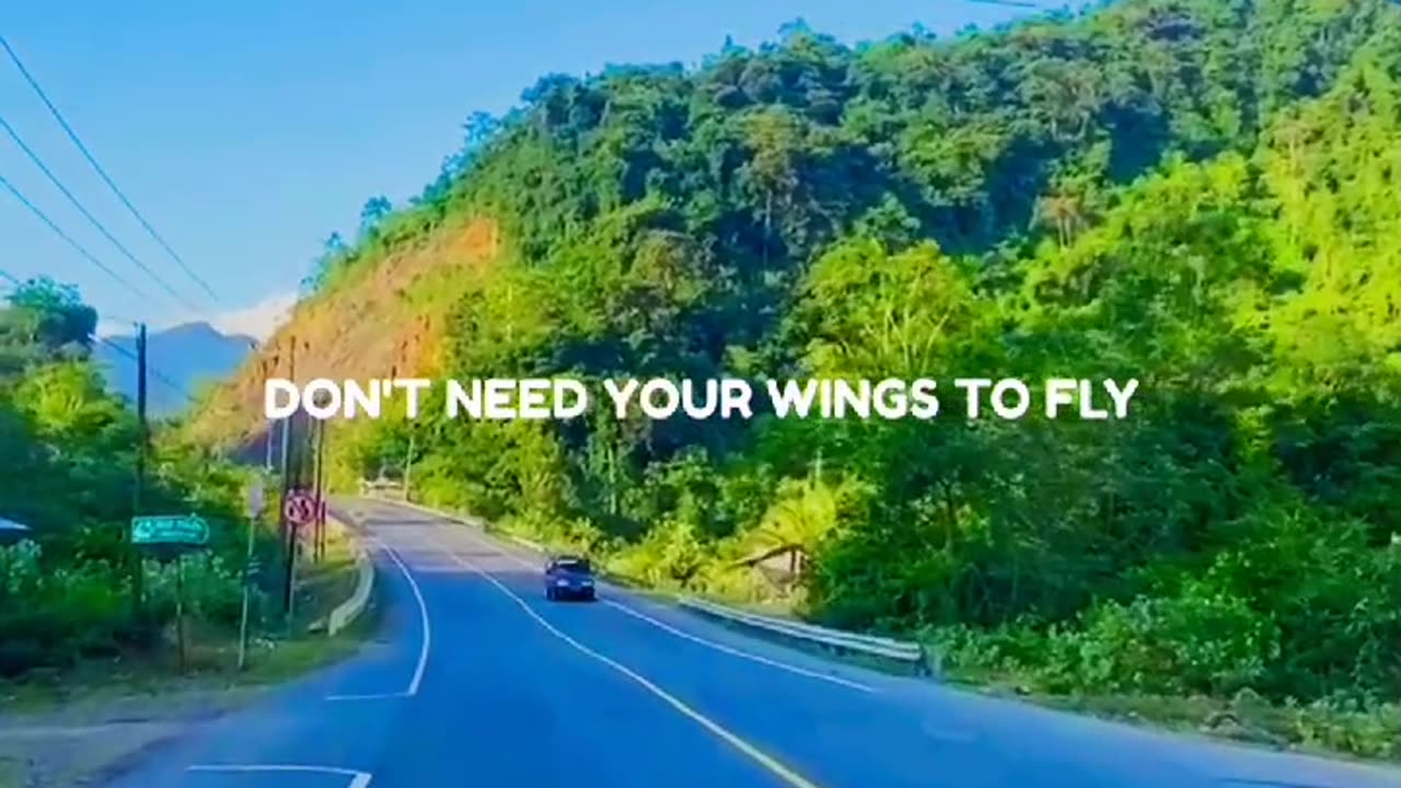 Travel