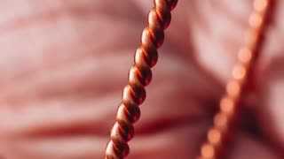 The Lumiferious Aether Theory