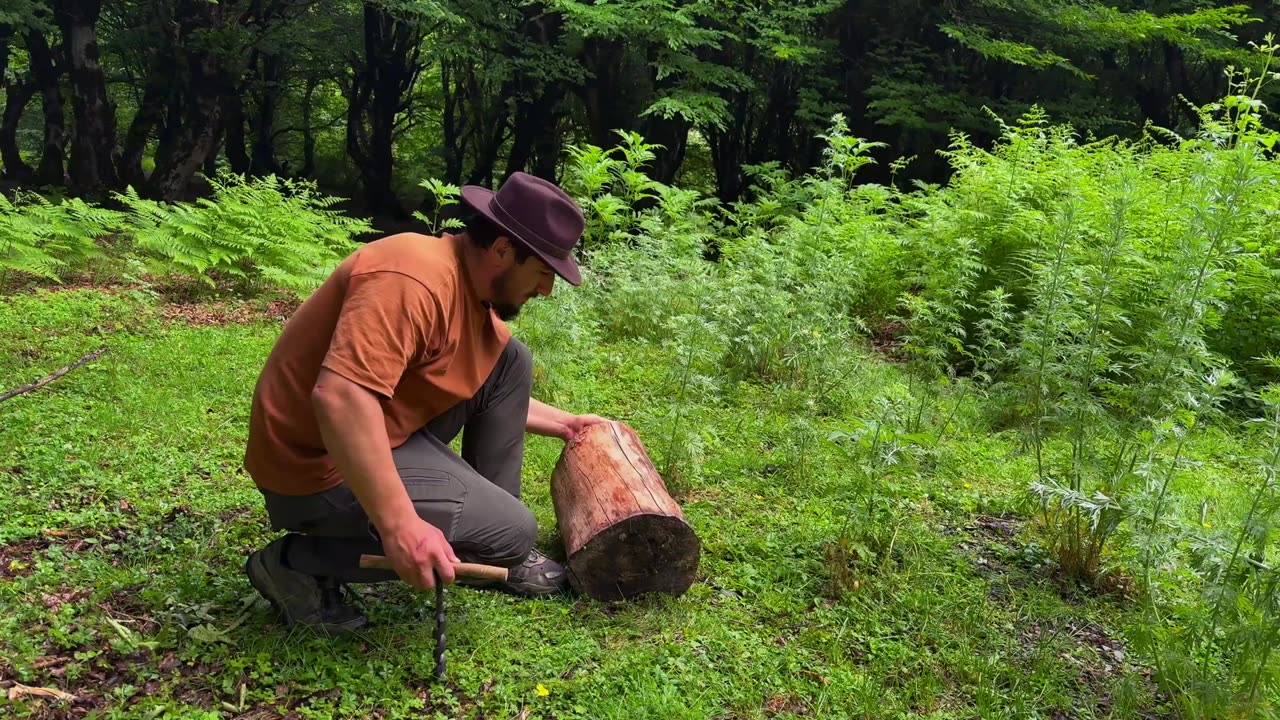 BEST Steak with Crispy Fries to Cook While Camping!