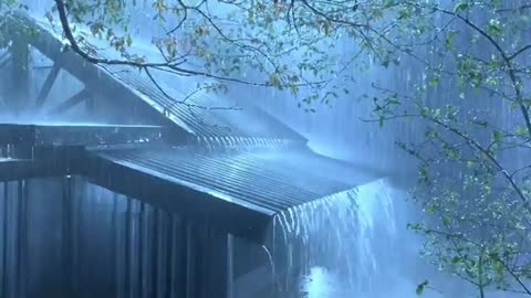 Relief From Insomnia with Loud Thunder & Torrential Rain Sounds on Old Tin Roof in Deep Rainforest