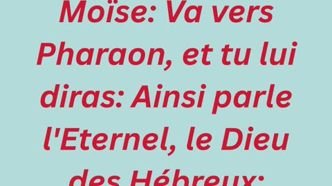 "Laisse aller mon peuple" exode 9:1 #shorts #youtube #ytshorts #jesus #views #french #youtubeshorts