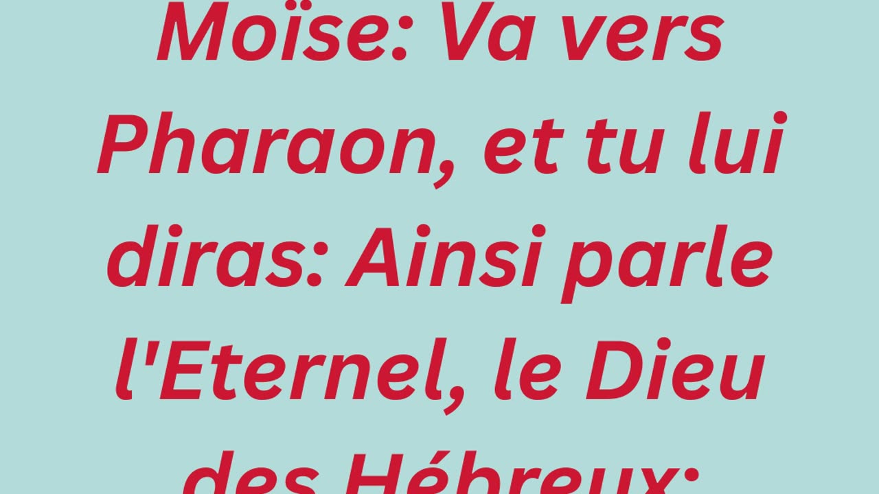 "Laisse aller mon peuple" exode 9:1 #shorts #youtube #ytshorts #jesus #views #french #youtubeshorts