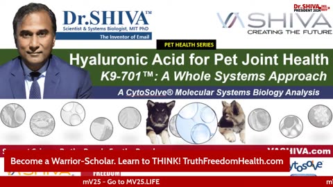 Dr.SHIVA™: Hyaluronic Acid for Holistic Pet Health in K9-701™(12/23)