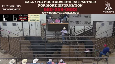 5/20/2025 - Day 1 - Sheep & Goat Auction - Producers Livestock Auction Company