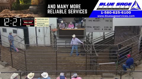 5/20/2025 - Day 1 - Sheep & Goat Auction - Producers Livestock Auction Company