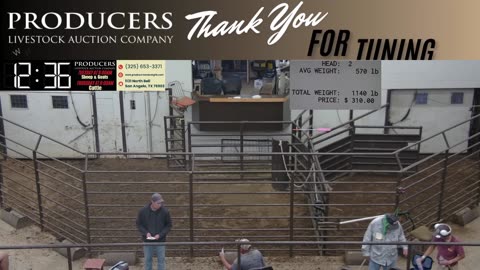 5/20/2025 - Day 1 - Sheep & Goat Auction - Producers Livestock Auction Company