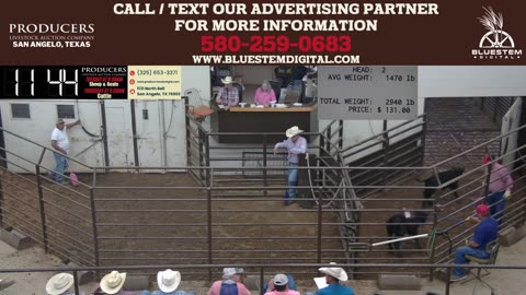 5/20/2025 - Day 1 - Sheep & Goat Auction - Producers Livestock Auction Company