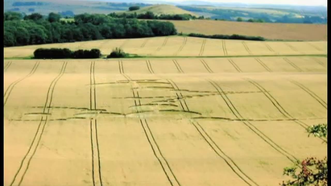 Crop Circles: A Wake Up Call - UPDATE