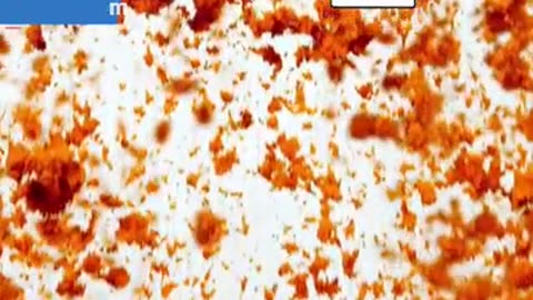 Amba Haldi for Skin,Digestion & Immunity