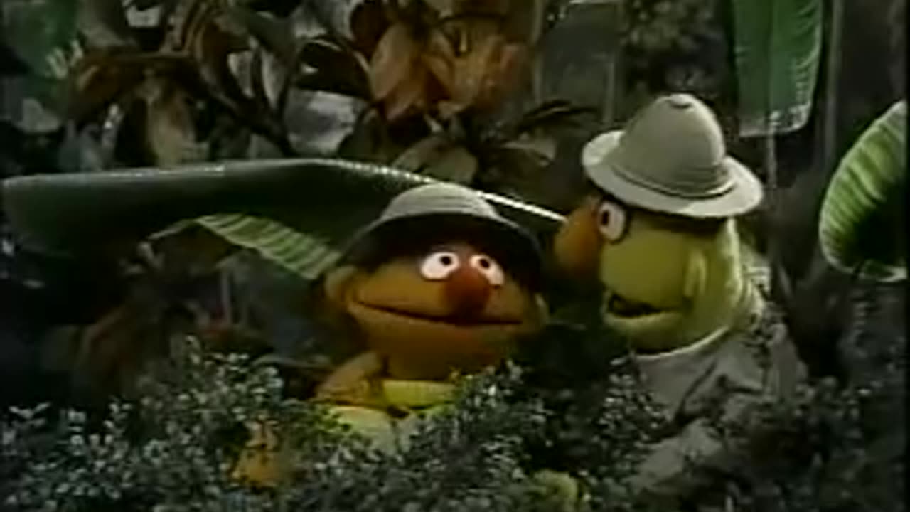 Sesame Street Episode 1736