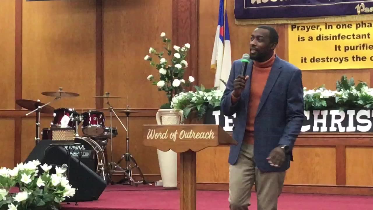 The Seed To The Cedar