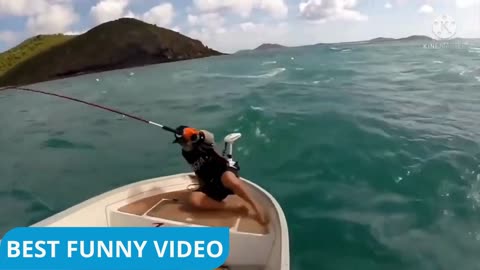 funny animals,funny animals life