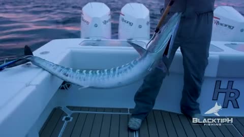 Searching for Massive Wahoo in Texas_part6