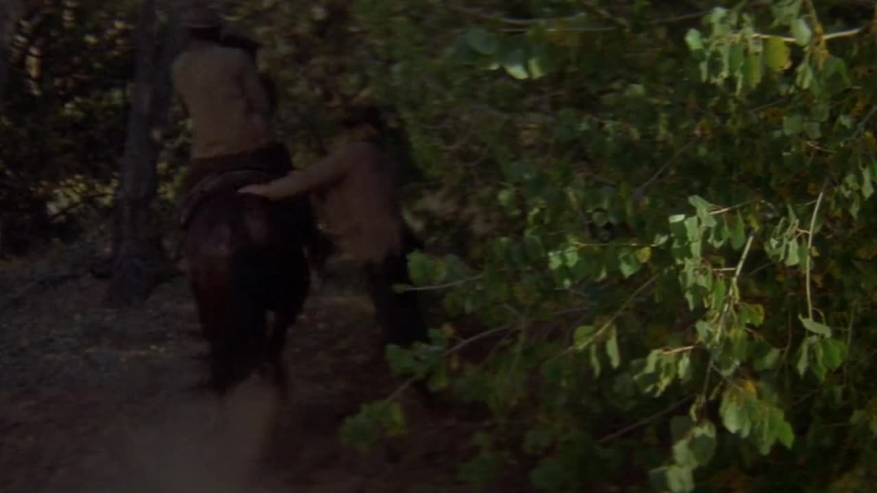 butch cassidy and the sundance kid movie