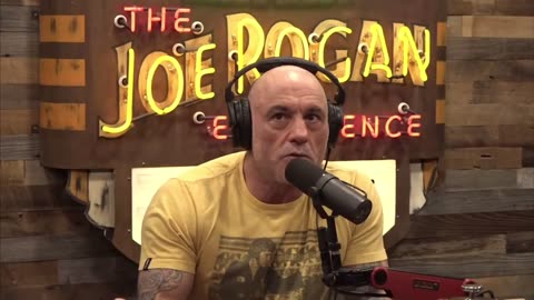 Joe Rogan on DOGE