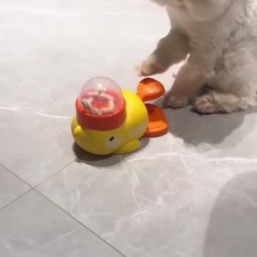 Cat treat puzzle machine