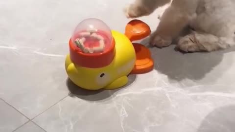 Cat treat puzzle machine
