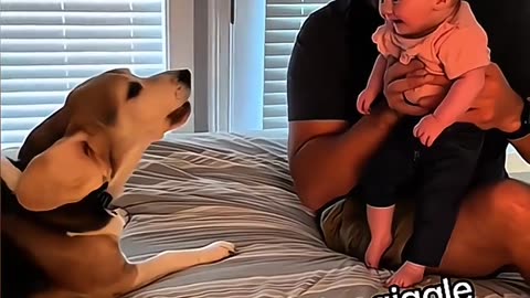 Try To Not Loaugh Funny Video 😂😂