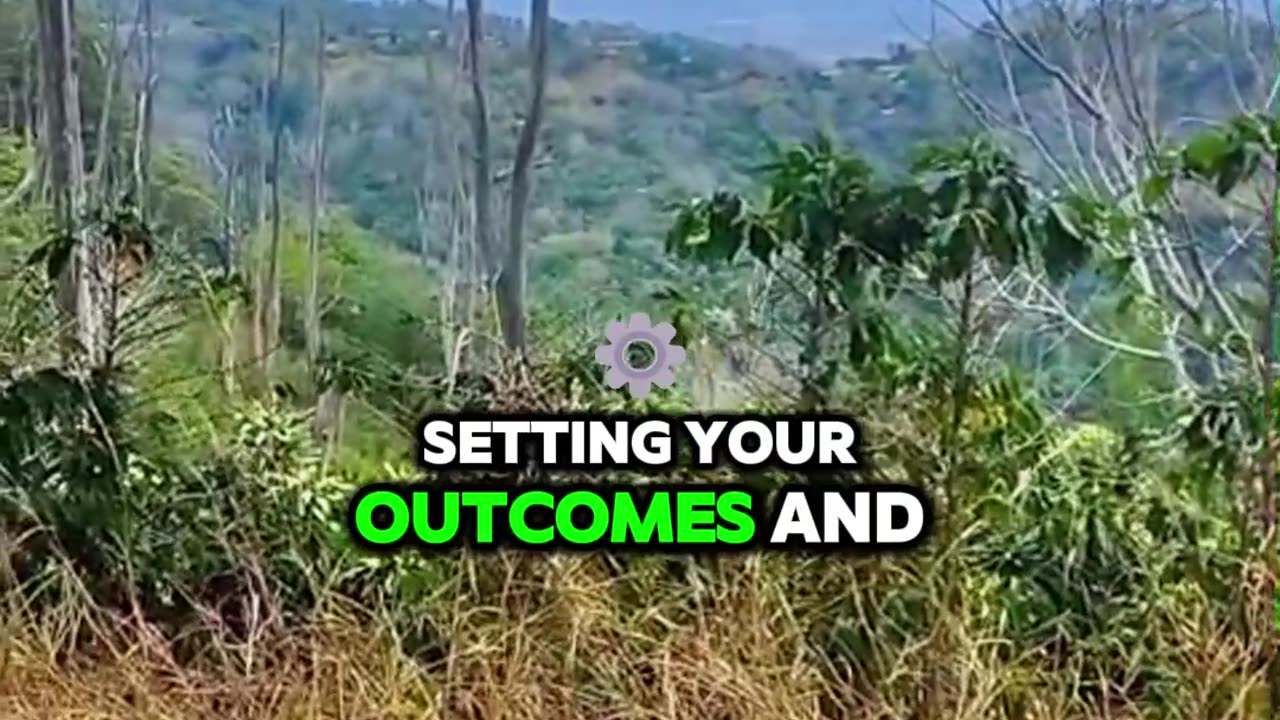 🌳 Feeling overwhelmed? Take your cues from nature.