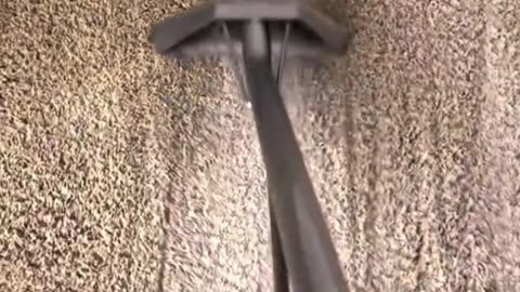 Deep Carpet Cleaning Services | Precision Floor Cleaning Masters