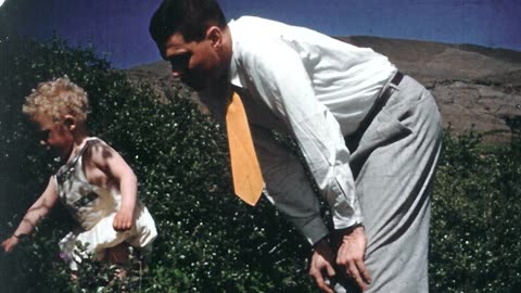 The George Lincoln Rockwell Story