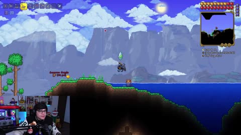 DE VUELTA EN TERRARIA