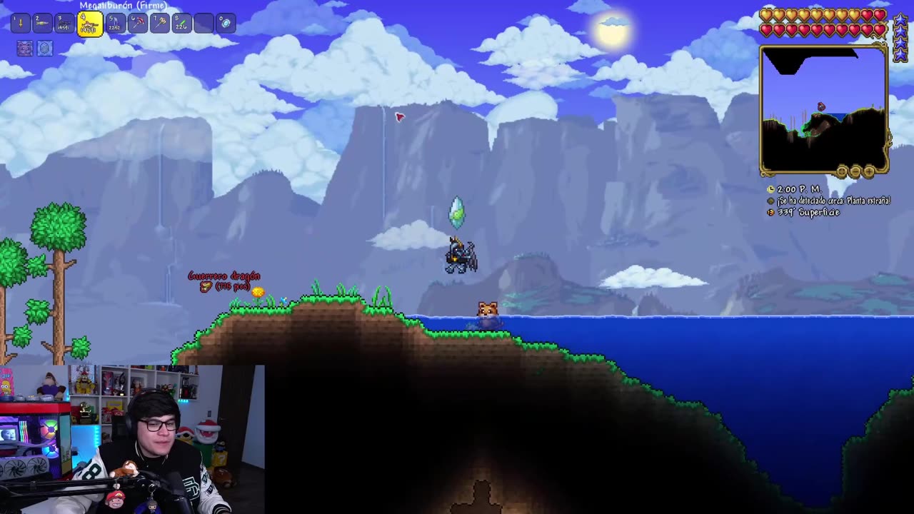 DE VUELTA EN TERRARIA