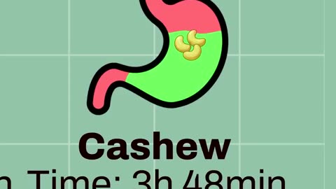 Here’s how long different foods take to digest in your body
